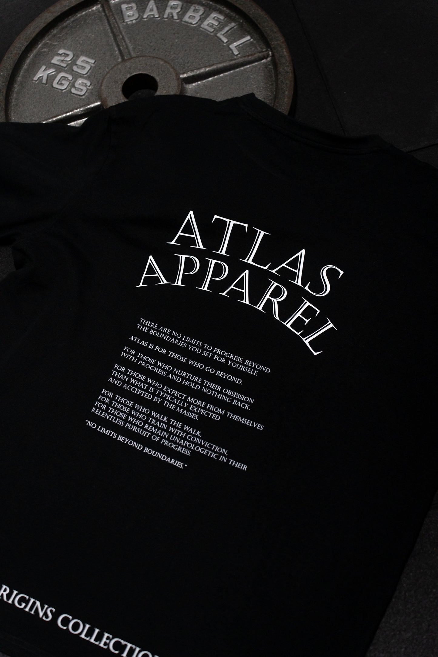 Origins Collection Scripture Tee