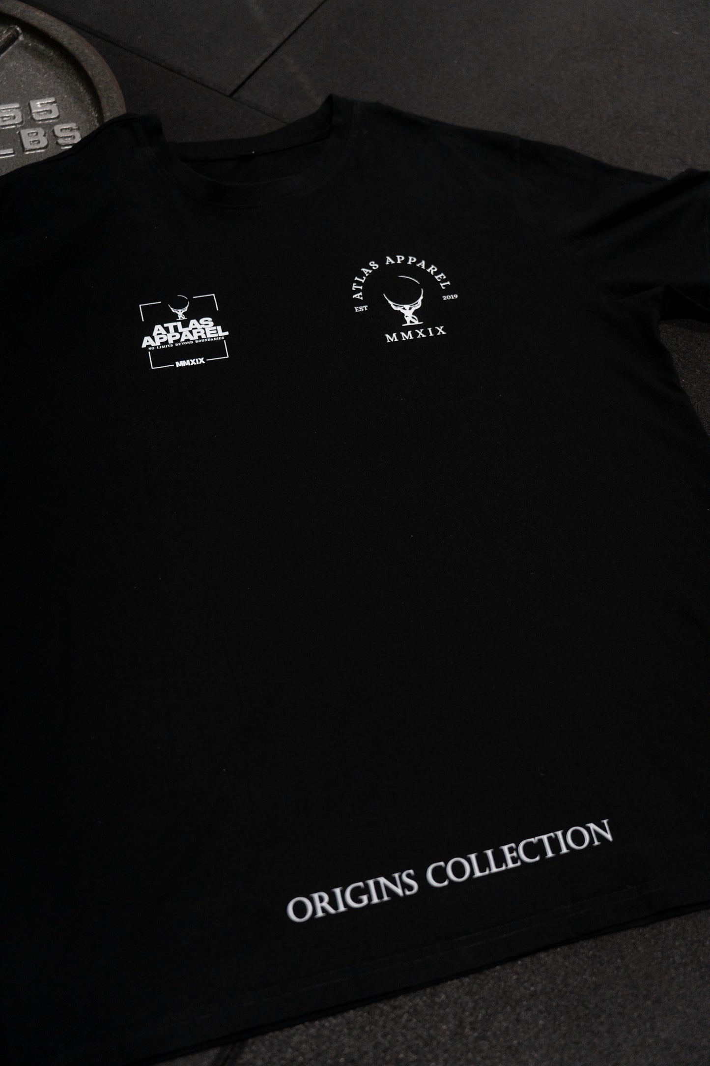 Origins Collection Scripture Tee