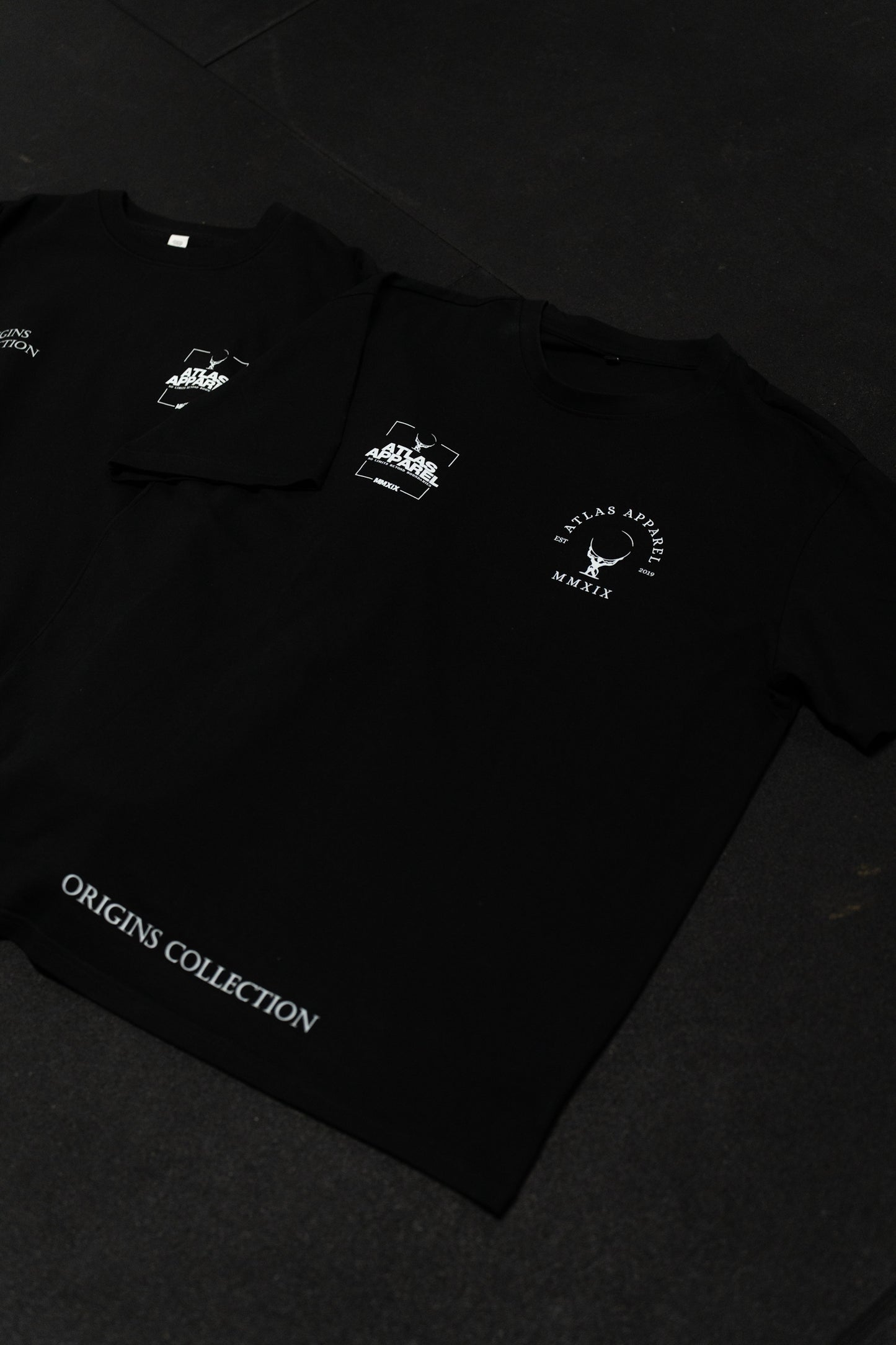 Origins Collection Scripture Tee